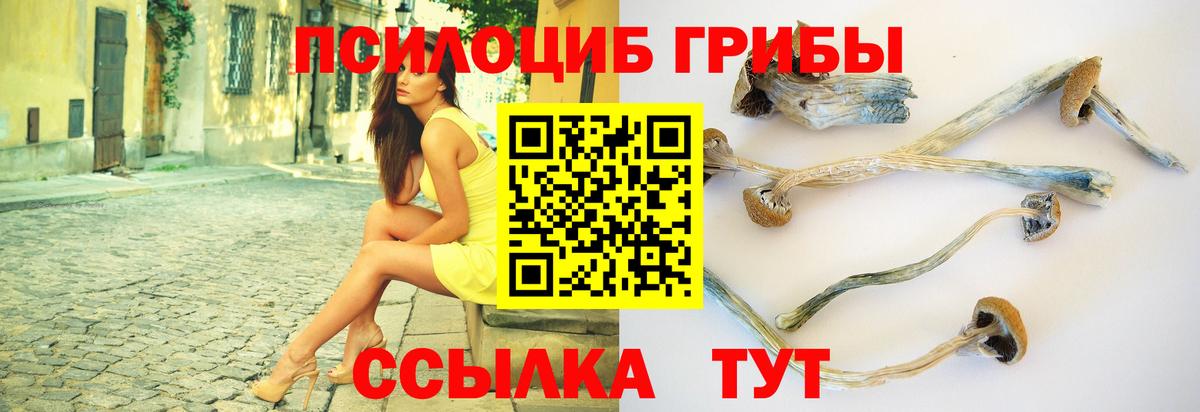 Псилоцибиновые грибы Magic Shrooms  Вход с VPN  Галлюциногенные грибы мухоморы  Качканар 